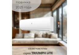 Создайте идеальный микроклимат с кондиционерами TRIUMPH LITE!