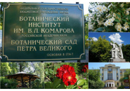 Ботанический институт им. В.Л. Комарова Российской академии наук