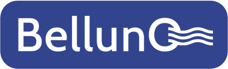 Логотип Belluna